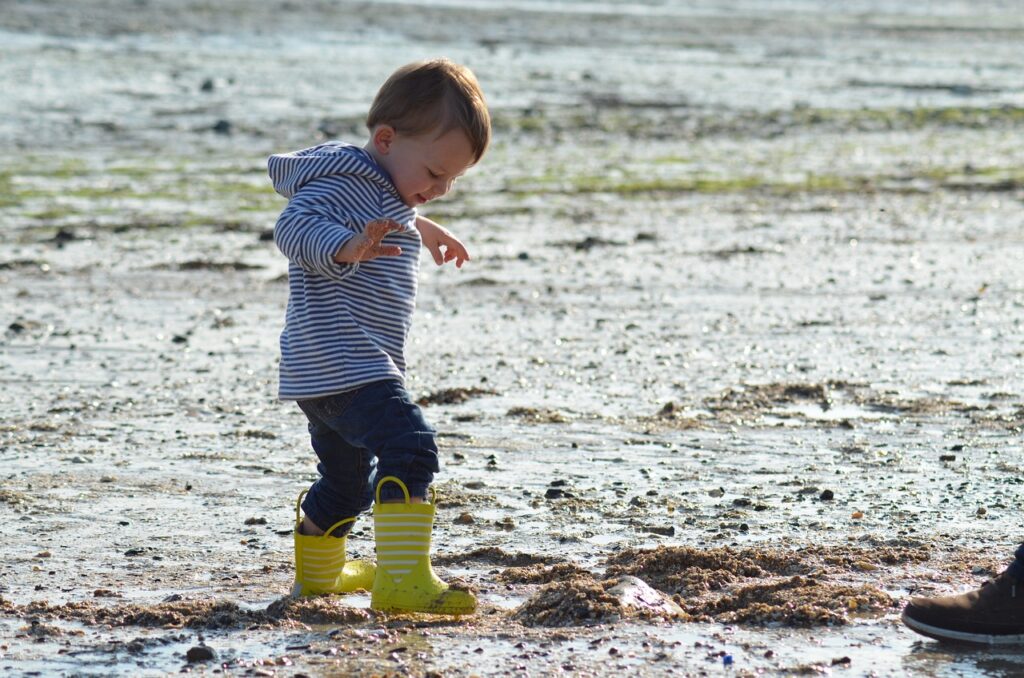 小さな子が長靴で田んぼを歩っている