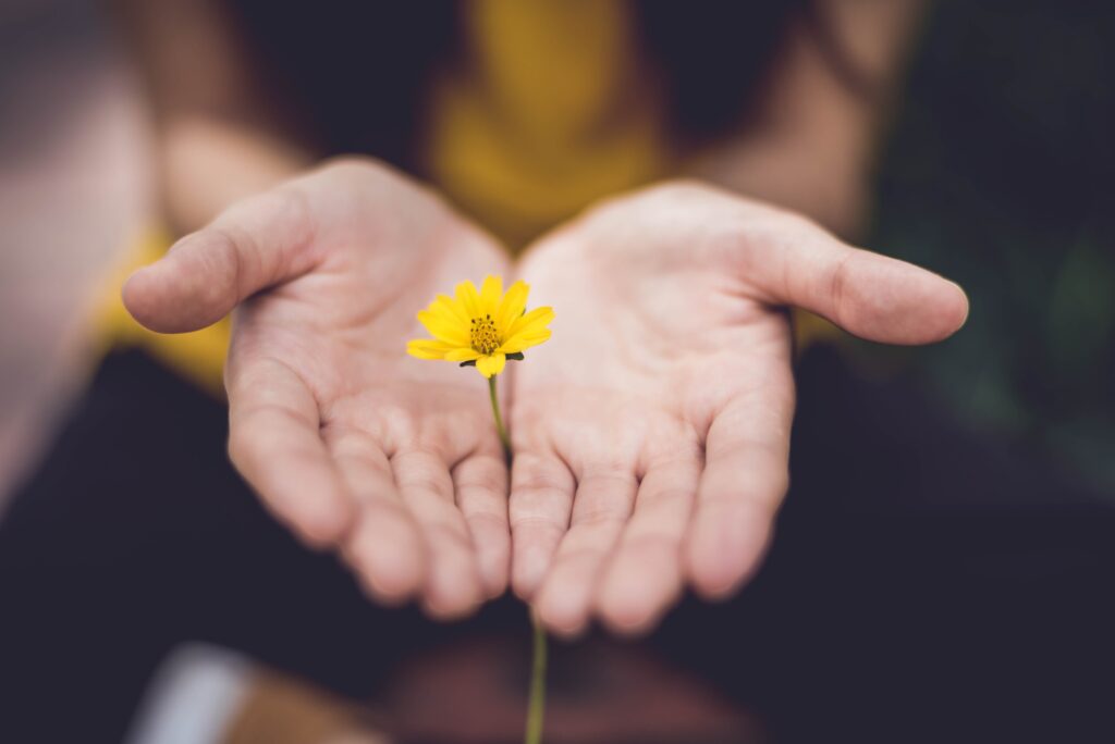 差し出された手と黄色い小さな花